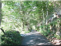 Minor road junction above Cymer Abbey