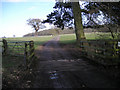 Cattle Grid & Private Road