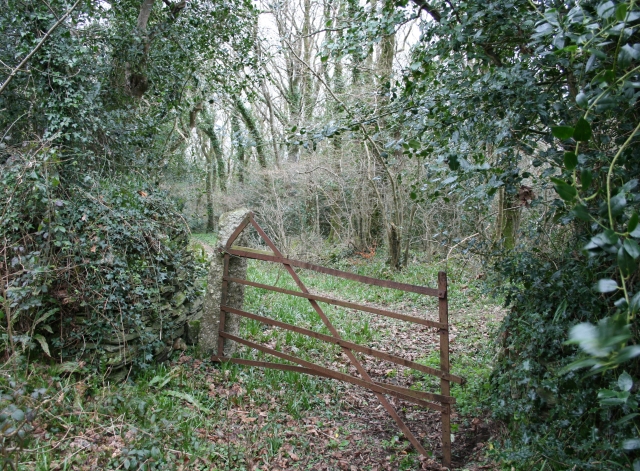 Gate in Hawke's Wood