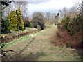 Foss Beck In March