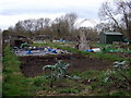 Fairacres allotments with hut