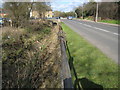 Brickendon Brook in Hertford (2)