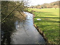 River Lee near Bayfordbury (1)