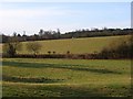 Pastures, Lambourn Woodlands