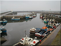 NU2232 : Inner & Outer Harbours, Seahouses by Row17