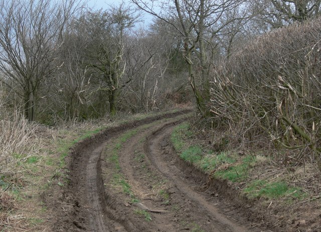 Rutted and muddy track