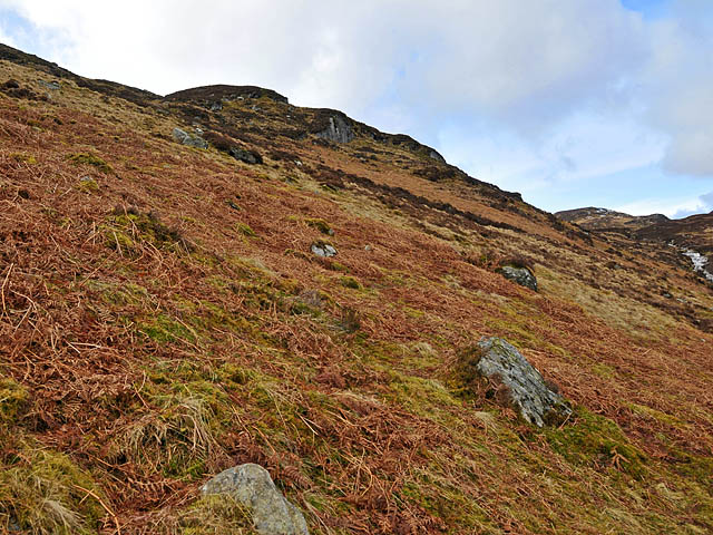 Hillside and crags