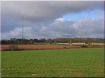 SU3176 : Farmland, Lambourn Woodlands by Andrew Smith