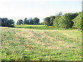 View upslope towards the wooded motte of Cymer Castle