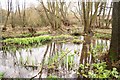 Streamside water garden