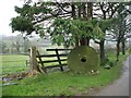 Millstone at Lissan