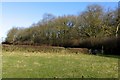 Towards Shangton Holt