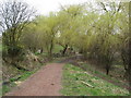 Vicar Water Footpath