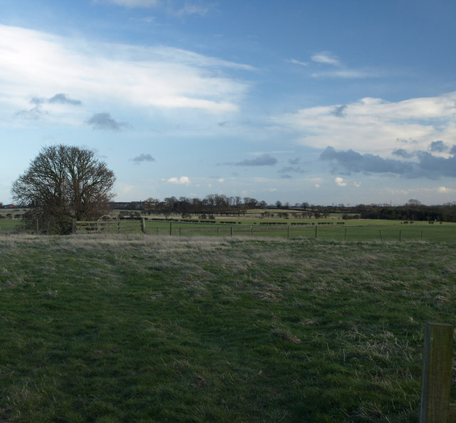 View across the fields taken from a gateway on the main road to Sheepwash