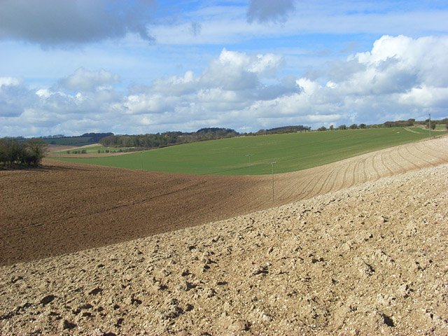 Farmland on the downs near Lambourn