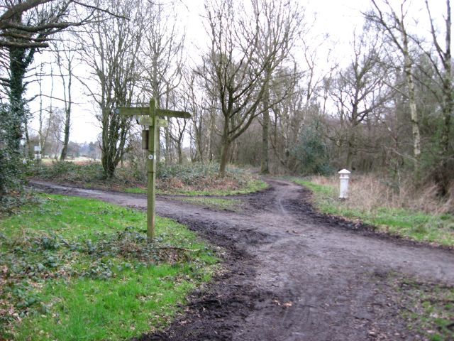 Bridleway junction on the edge of Walton Heath