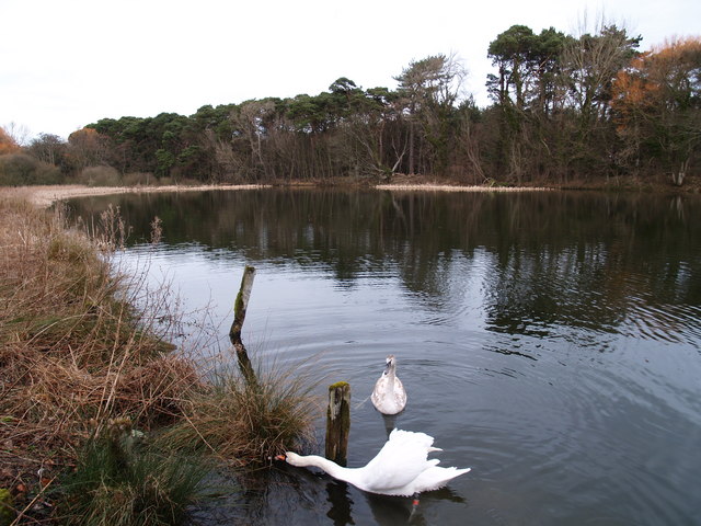 Howick Hall Pond in Winter