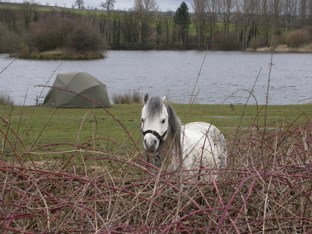 Angler's tent and pony.