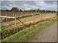 Avenue Washlands - Footpath View