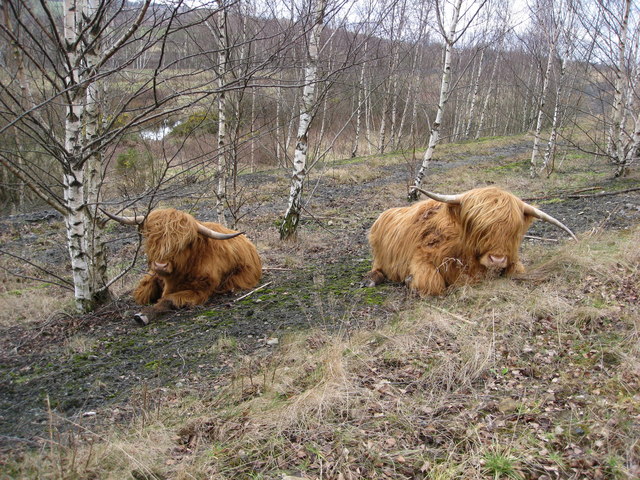 Avenue Washlands - Local Residents