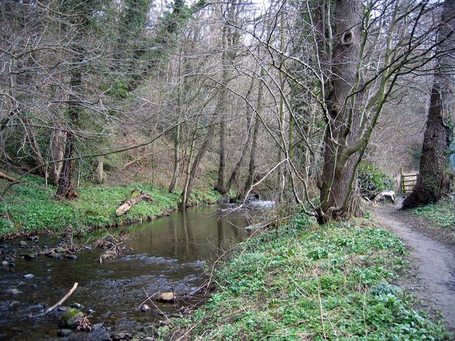 Stocksfield Burn