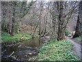 Stocksfield Burn