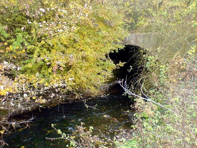 River Meden flowing into tunnel