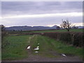 Footpath to Eyton on Severn