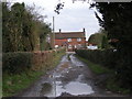 Driveway & cottage