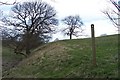 Footpath from Linfit Fold to Lower House