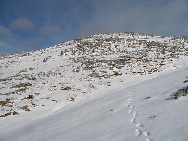 Western slopes of Creach Bheinn