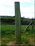 V9847 : The Kilnaruan Stone, Bantry by Richard Fensome