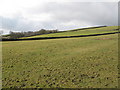 Pastures near South Hanging Wells