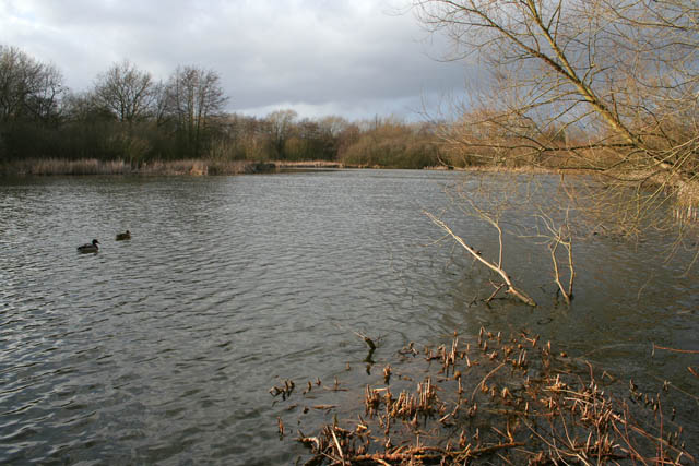 A walk round Martin's Pond (1) © Kate Jewell :: Geograph Britain and ...