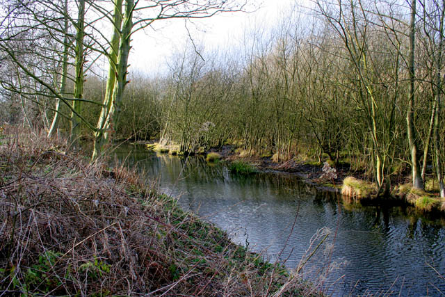 A walk round Martin's Pond (12)