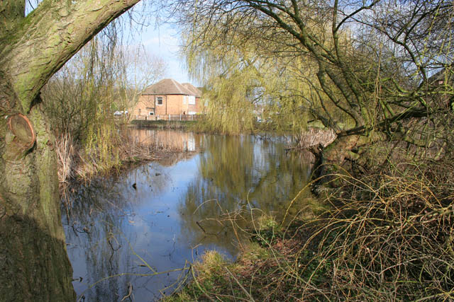 A walk round Martin's Pond (14)