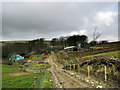 Warren Farm Exmoor