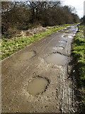 TA1828 : Muddy Puddles by Andy Beecroft