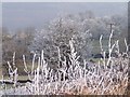 Hoar Frost above Oughtibridge