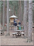 SU8766 : Picnic and play area, Swinley Forest, Bracknell by David Hawgood