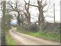 A twisting country road passing Bron Wylfa Farm