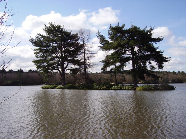 Island on Hawley Lake