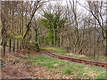 SN7377 : Vale of Rheidol Railway at Derwen (3) by John Lucas