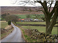 Stonebeck Gate Lane