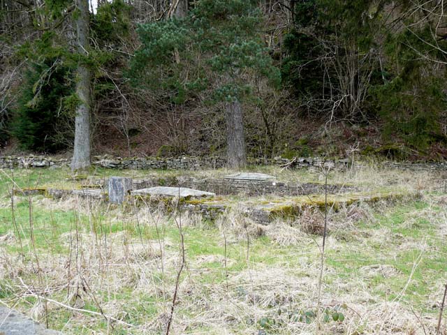 Chapel ruins, Abercynafon