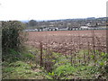 Ploughed field