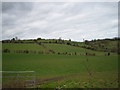 Landscape, Mowhan Road