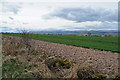 Farmland Wester Cultmalundie Farm