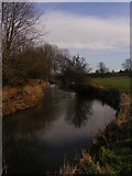 TM3288 : River Waveney near Earsham by Glen Denny