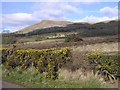 Curraghlane Townland